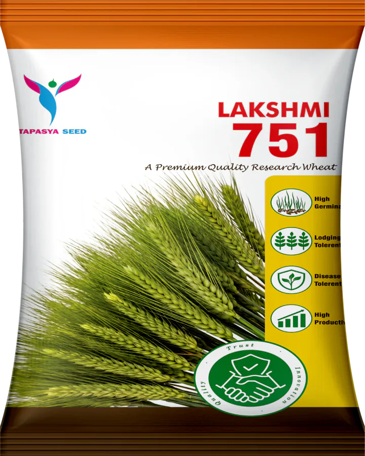 Lakshmi 751