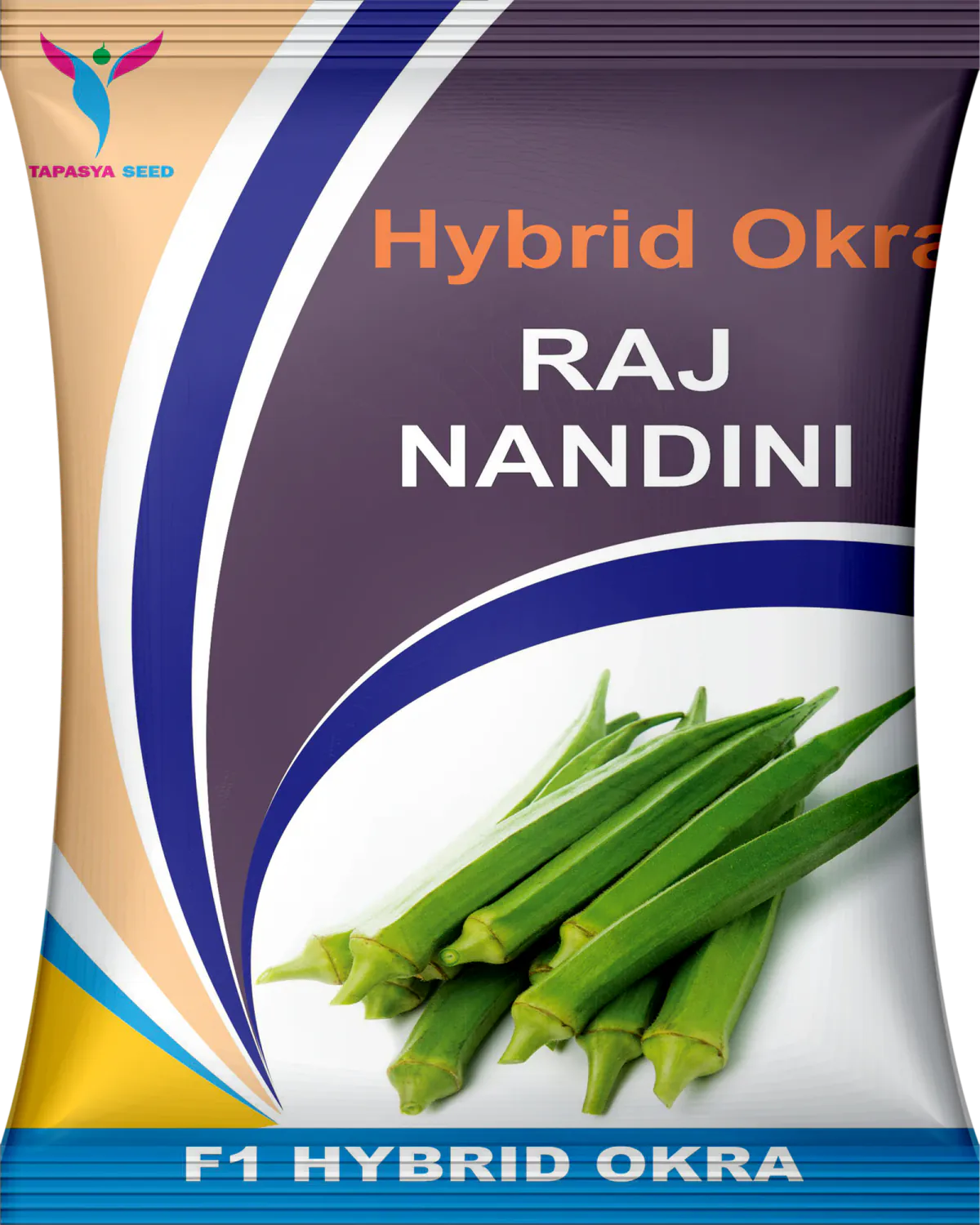 Raj Nandini