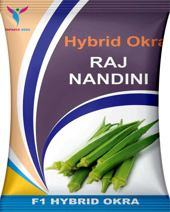 Raj Nandini