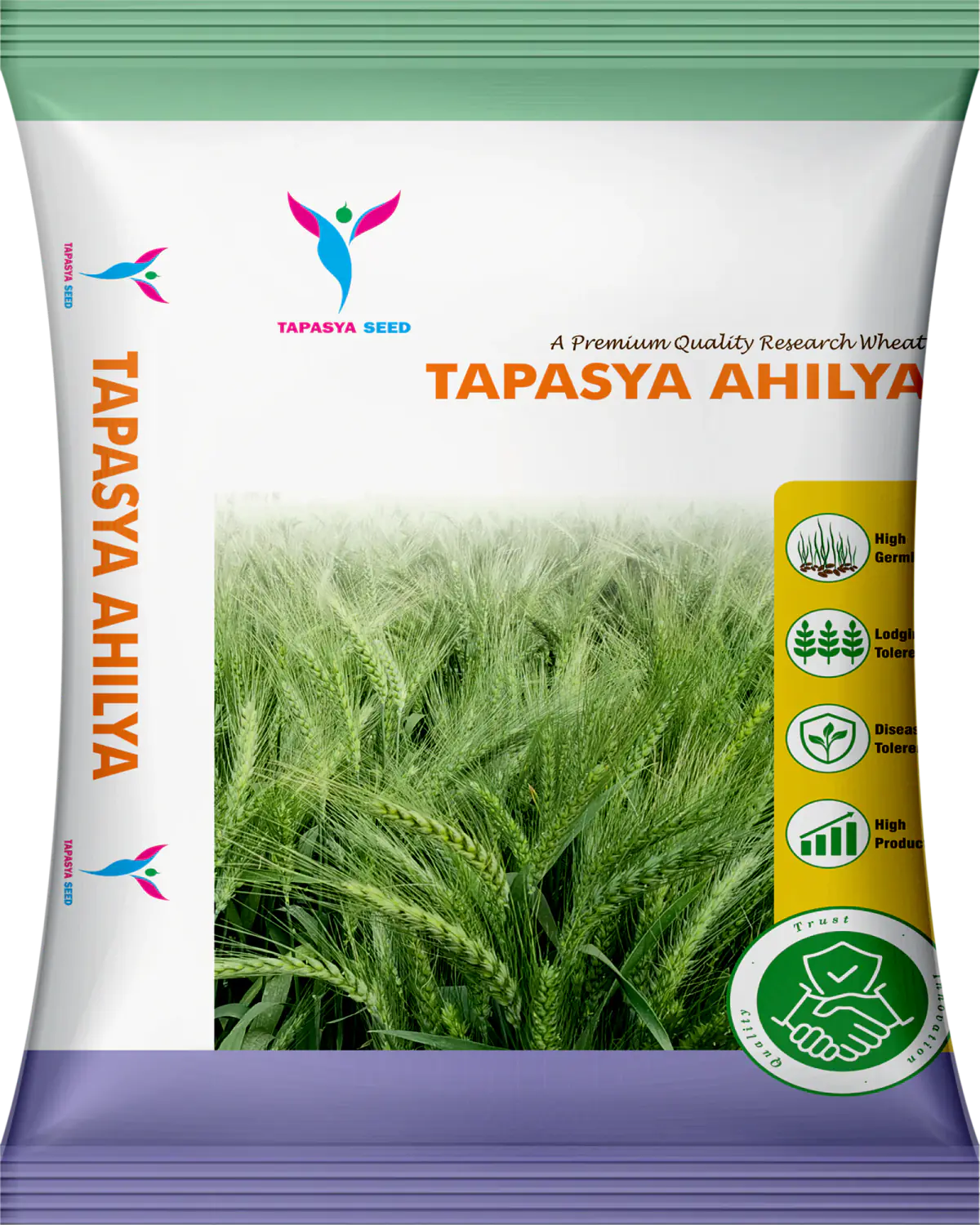 Tapasya Ahilya