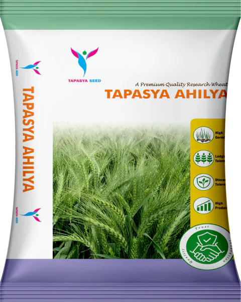 Tapasya Ahilya