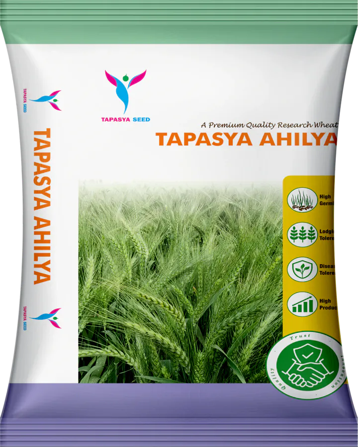 Tapasya Ahilya