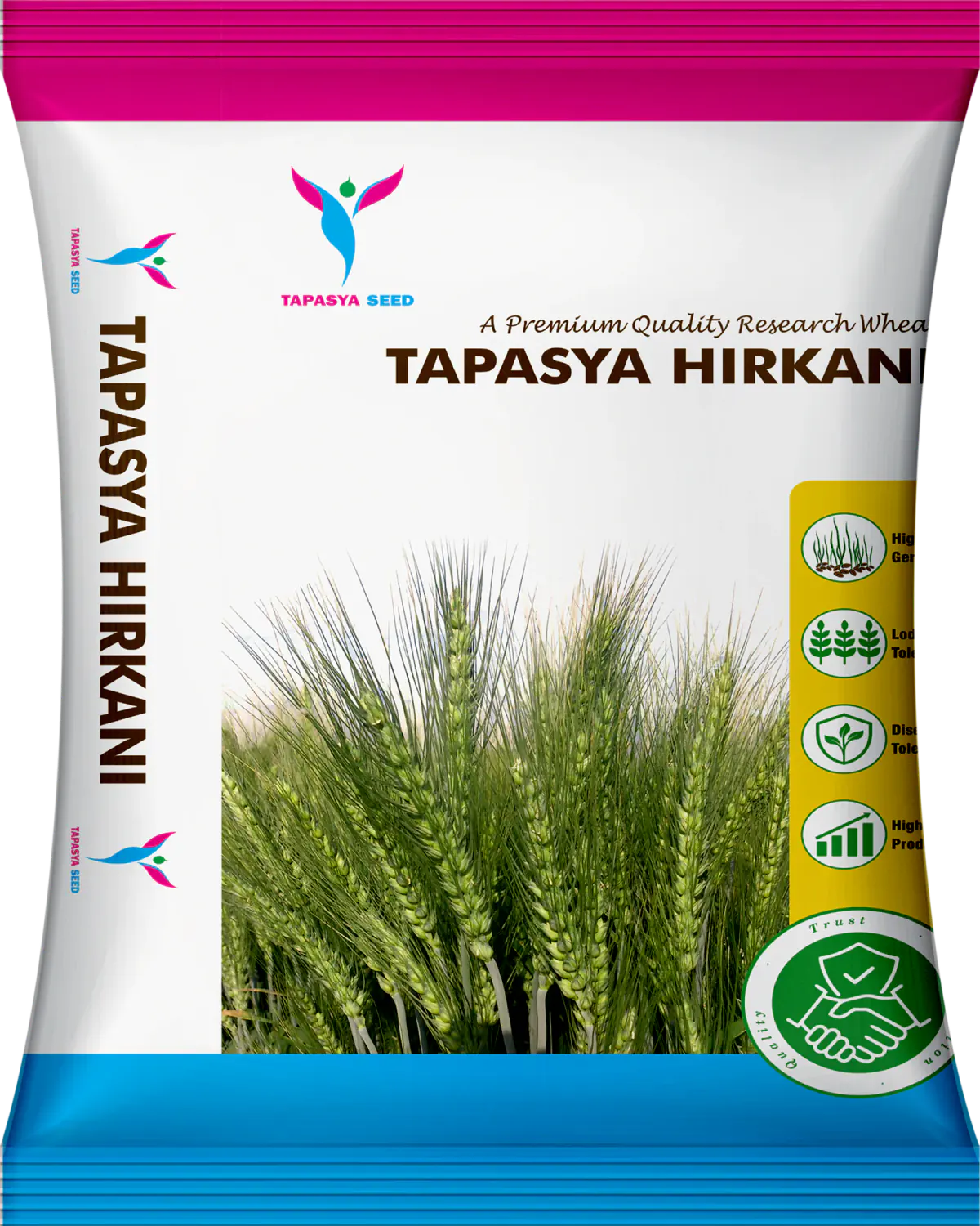 Tapasya Hirkani