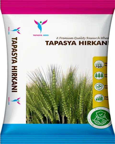 Tapasya Hirkani