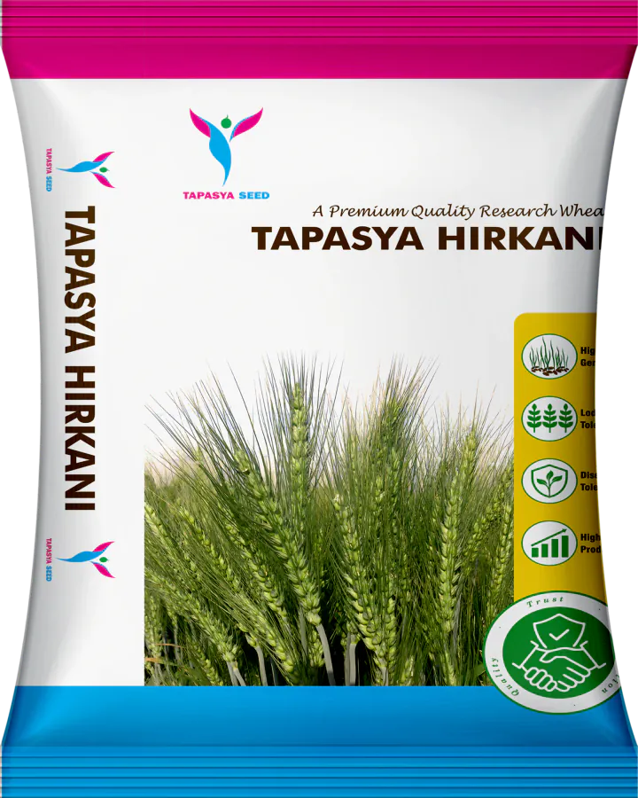 Tapasya Hirkani