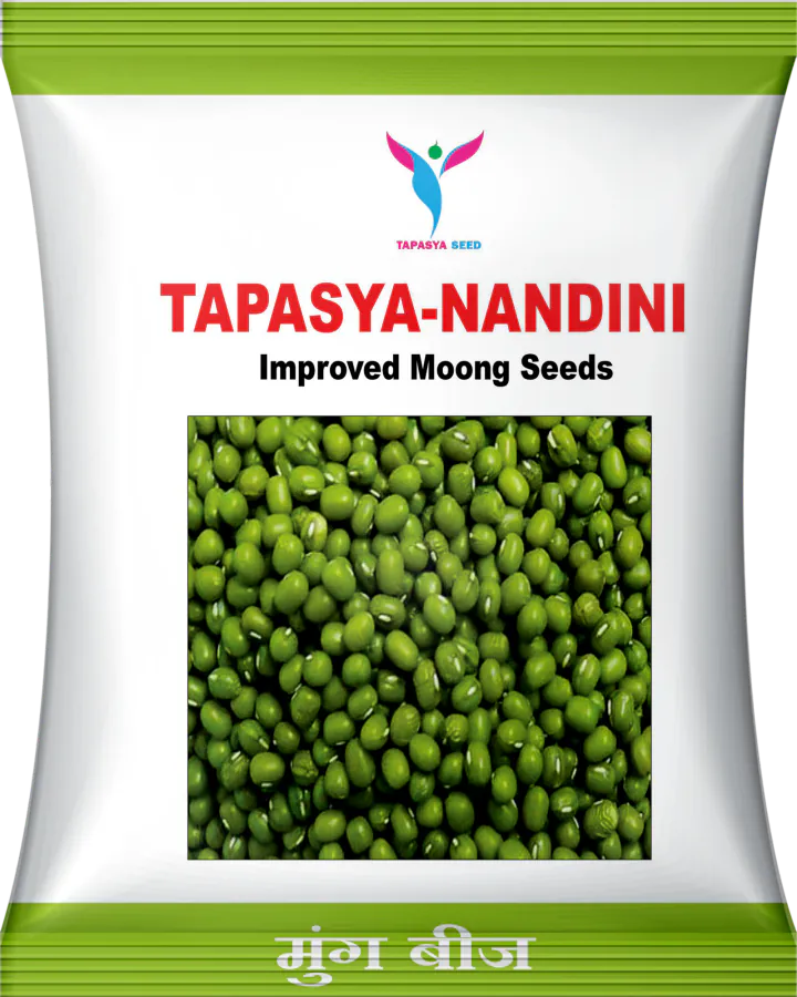 Tapasya-Nandini