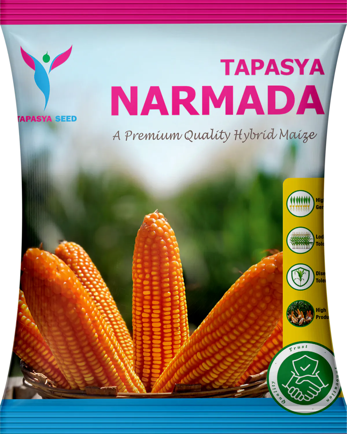 Tapasya Narmada