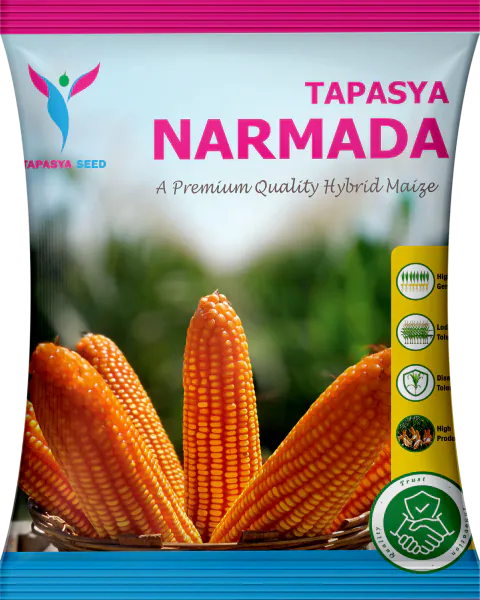 Tapasya Narmada