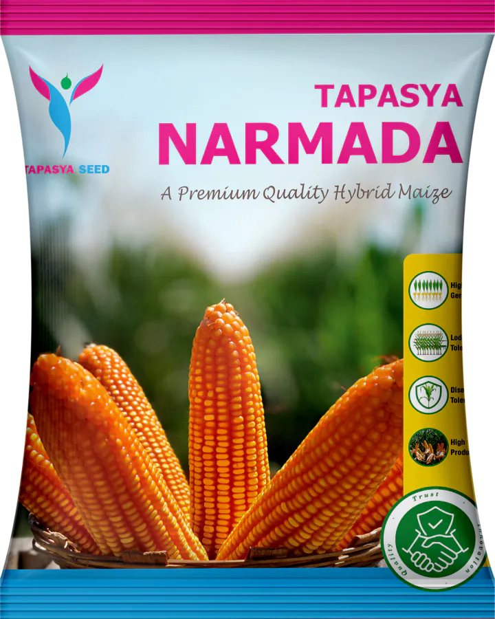 Tapasya Narmada
