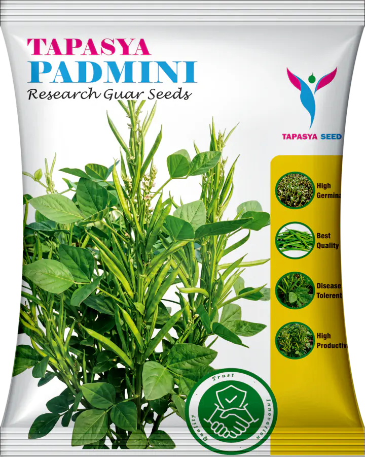 Tapasya Padmini
