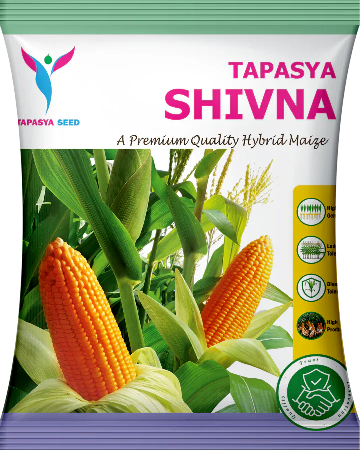 Tapasya Shivna